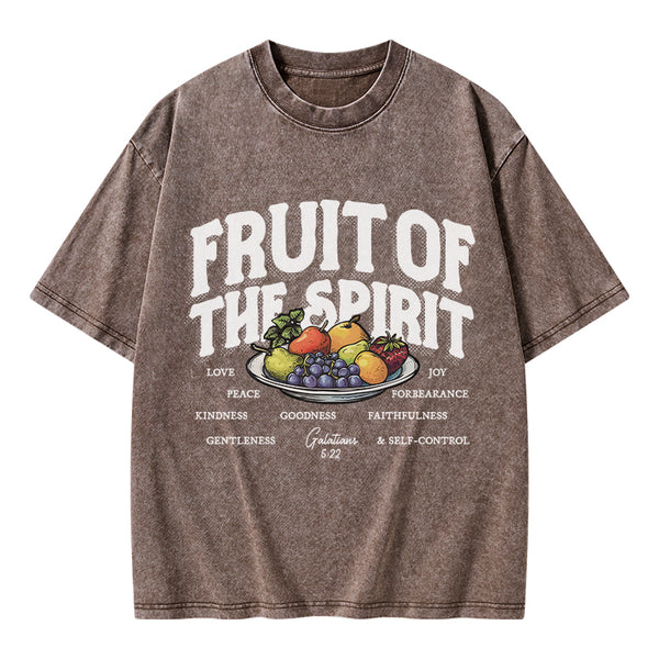 Fruit Of The Spirit Christian Washed T-Shirt