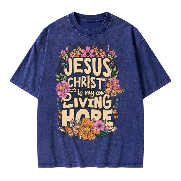 Living Hope Christian Washed T-Shirt