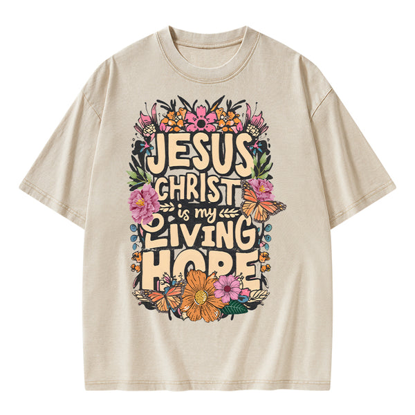 Living Hope Christian Washed T-Shirt