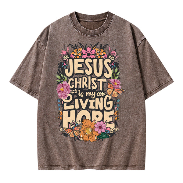 Living Hope Christian Washed T-Shirt