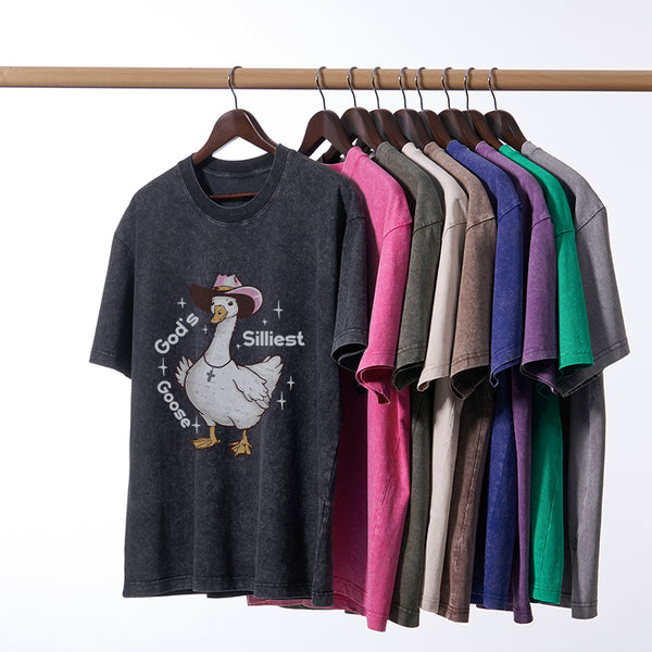 God's Silliest Goose Christian Washed T-Shirt