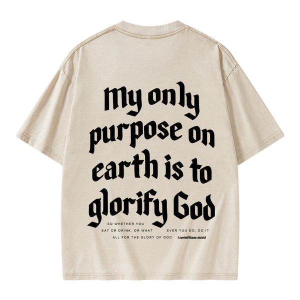 My Only Purpose Christian Washed T-Shirt