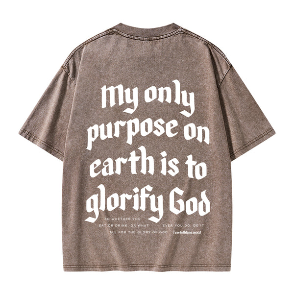 My Only Purpose Christian Washed T-Shirt