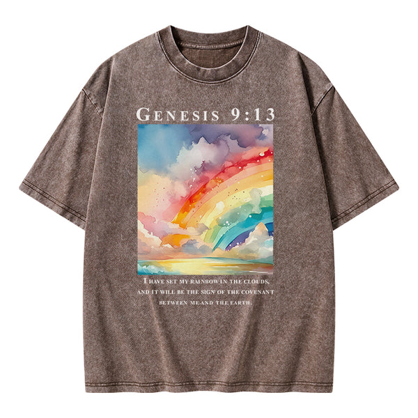 I Have Set My Rainbow In The Clouds Christian Washed T-Shirt