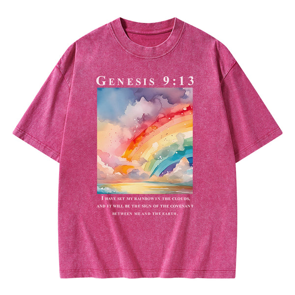 I Have Set My Rainbow In The Clouds Christian Washed T-Shirt