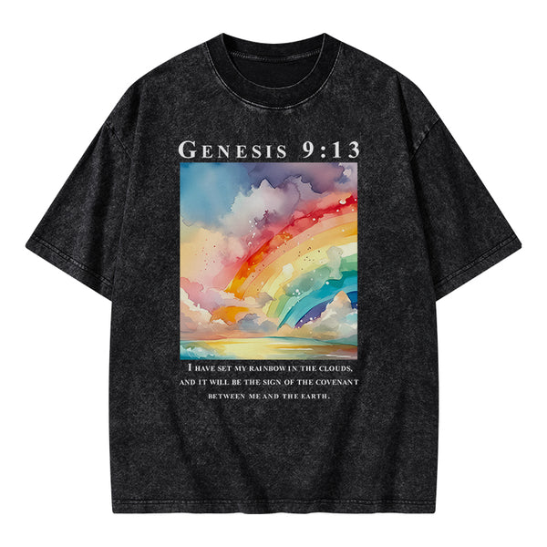 I Have Set My Rainbow In The Clouds Christian Washed T-Shirt