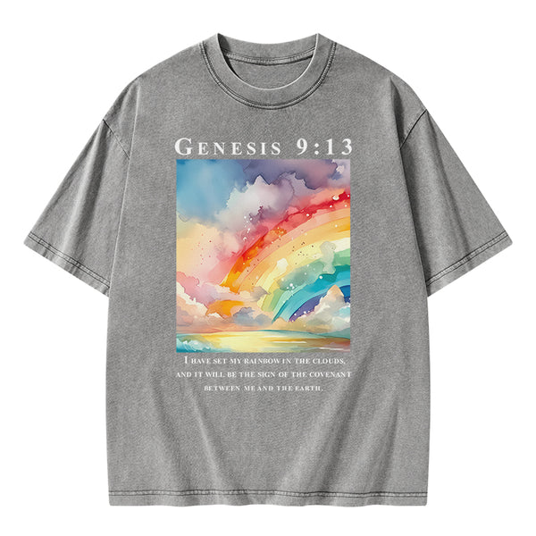 I Have Set My Rainbow In The Clouds Christian Washed T-Shirt