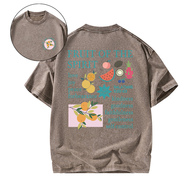 Fruits Of The Spirit Christian Washed T-Shirt