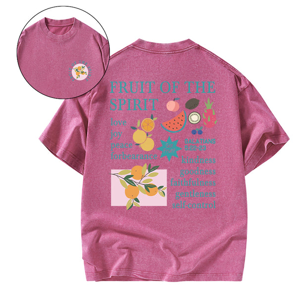 Fruits Of The Spirit Christian Washed T-Shirt