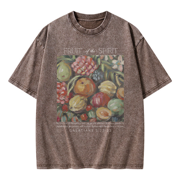Fruit Of The Spirit Christian Washed T-Shirt