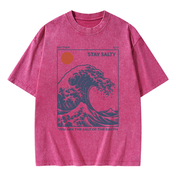 GC-WTS0979 You Are The Salt Of The Earth Christian Washed T-Shirt