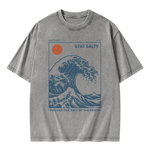 GC-WTS0979 You Are The Salt Of The Earth Christian Washed T-Shirt