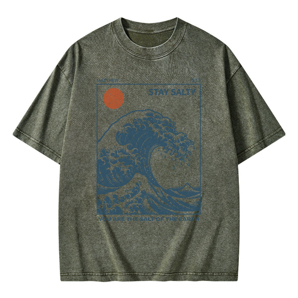 GC-WTS0979 You Are The Salt Of The Earth Christian Washed T-Shirt