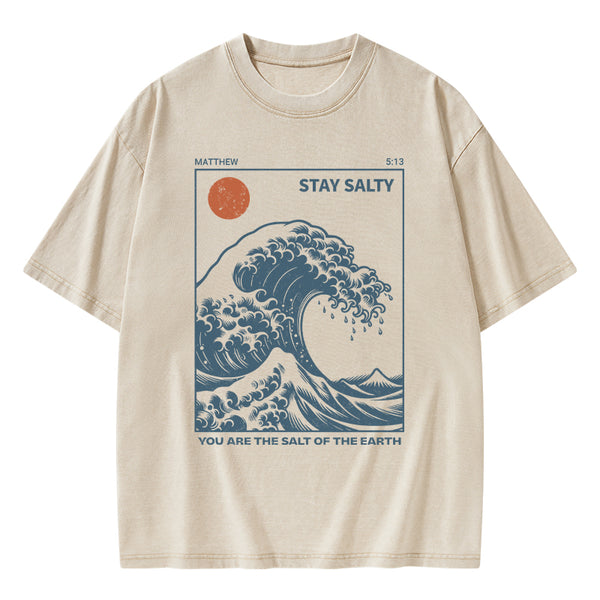GC-WTS0979 You Are The Salt Of The Earth Christian Washed T-Shirt