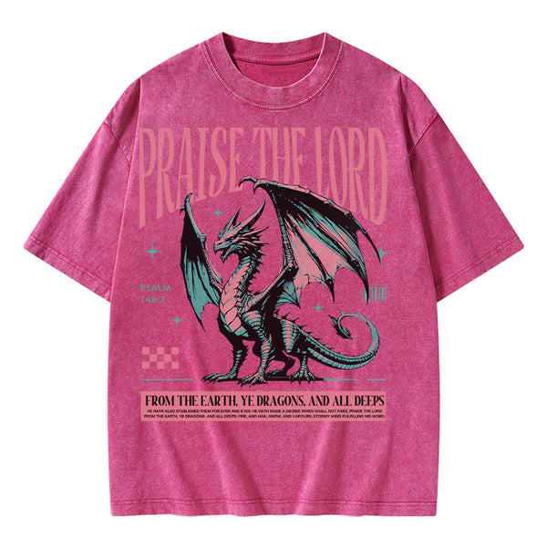 Praise The Lord Christian Washed T-Shirt