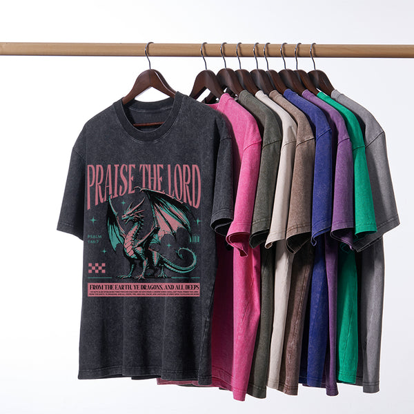Praise The Lord Christian Washed T-Shirt