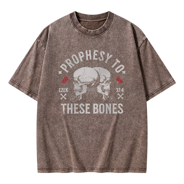 Prophesy To These Bones Christian Washed T-Shirt