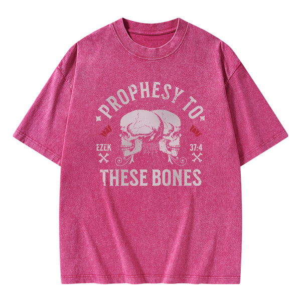 Prophesy To These Bones Christian Washed T-Shirt