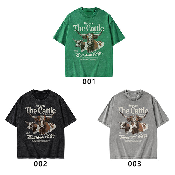 He Owns The Cattle On A Thousand Hills Christian Washed T-Shirt