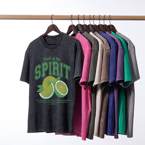 Fruit Of The Spirit Christian Washed T-Shirt
