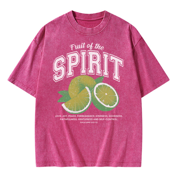 Fruit Of The Spirit Christian Washed T-Shirt