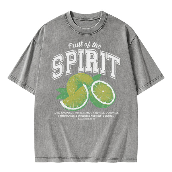 Fruit Of The Spirit Christian Washed T-Shirt