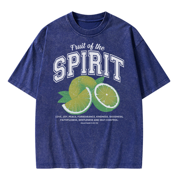 Fruit Of The Spirit Christian Washed T-Shirt