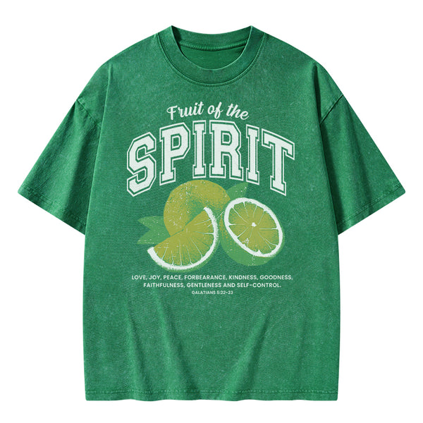 Fruit Of The Spirit Christian Washed T-Shirt