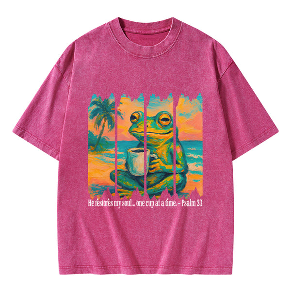 He Restore My Soul Christian Washed T-Shirt