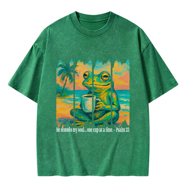 He Restore My Soul Christian Washed T-Shirt