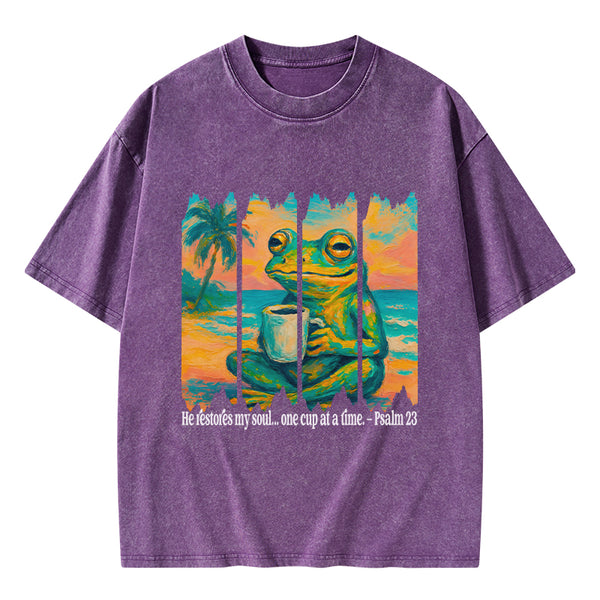 He Restore My Soul Christian Washed T-Shirt