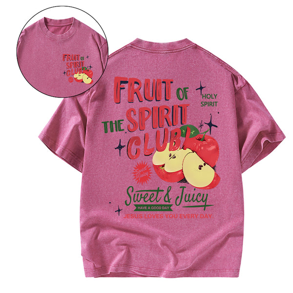 Fruit Spirt Club Christian Washed T-Shirt
