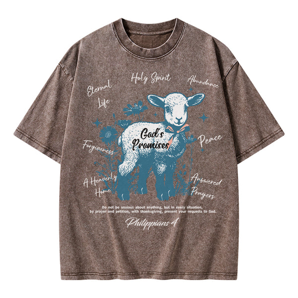 God's Promises Christian Washed T-Shirt