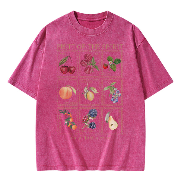 Fruit Of The Spirit Christian Washed T-Shirt