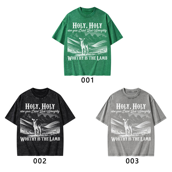Worthy Is The Lamb Christian Washed T-Shirt