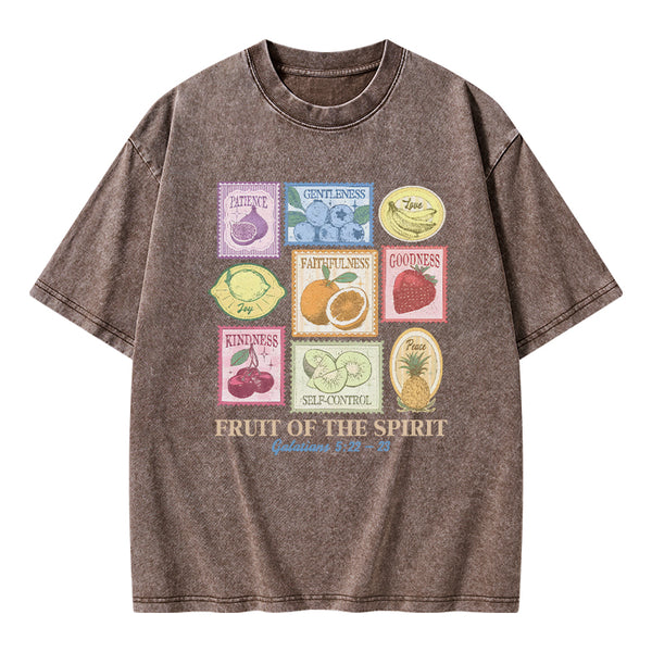 GC-WTS2353 Fruit Of The Spirit Christian Washed T-Shirt