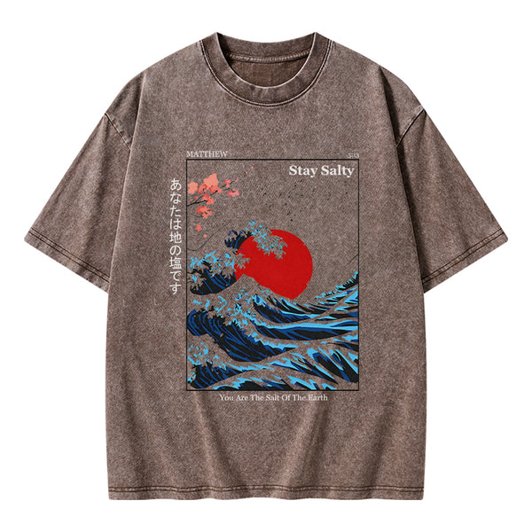 GC-WTSA0056 You Are The Salt Of The Earth Washed T-Shirt