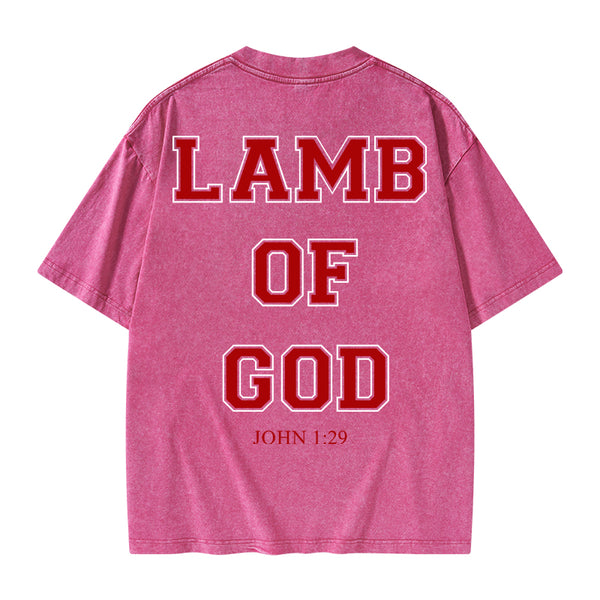 GC-WTSA0669 Lamb Of God Christian Washed T-Shirt