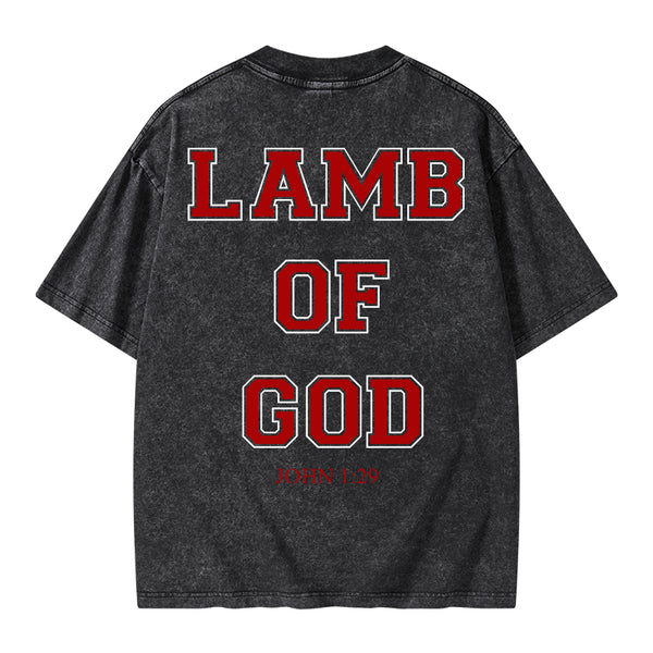 GC-WTSA0669 Lamb Of God Christian Washed T-Shirt