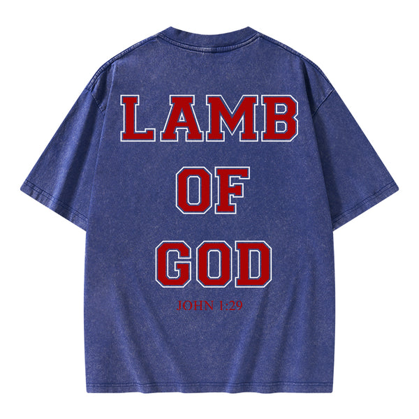 GC-WTSA0669 Lamb Of God Christian Washed T-Shirt