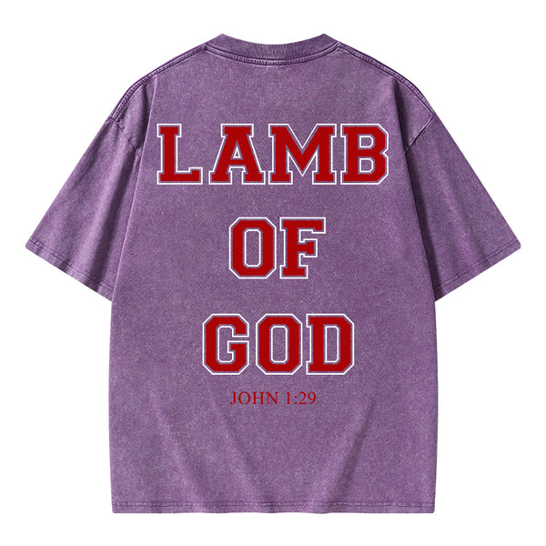 GC-WTSA0669 Lamb Of God Christian Washed T-Shirt