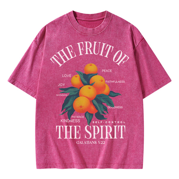 The Fruit Of Spirit Christian Wahsed T-Shirt