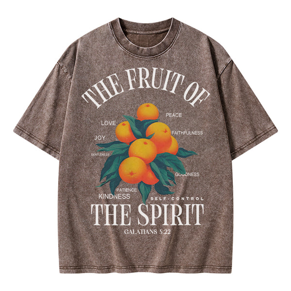 The Fruit Of Spirit Christian Wahsed T-Shirt