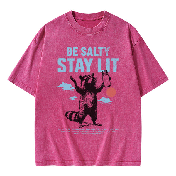 GC-WTSA1614 Be Salty Stay Lit Christian Washed T-Shirt