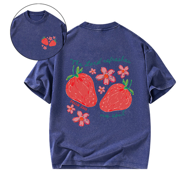 The Lord Refreshes My Soul Christian Washed T-Shirt