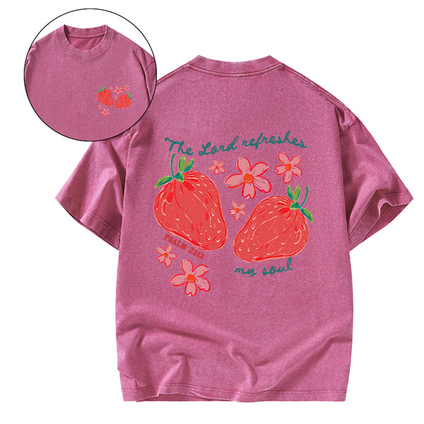 The Lord Refreshes My Soul Christian Washed T-Shirt