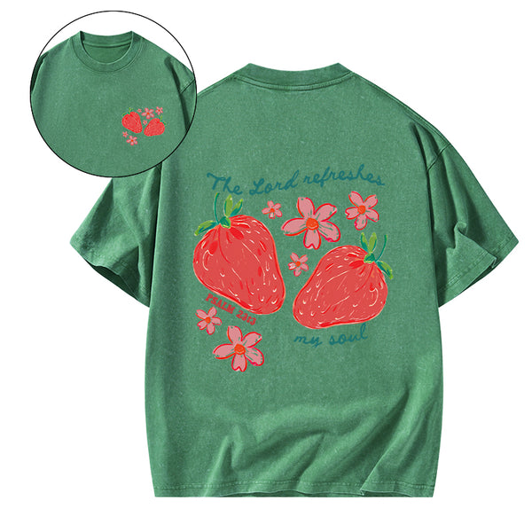 The Lord Refreshes My Soul Christian Washed T-Shirt