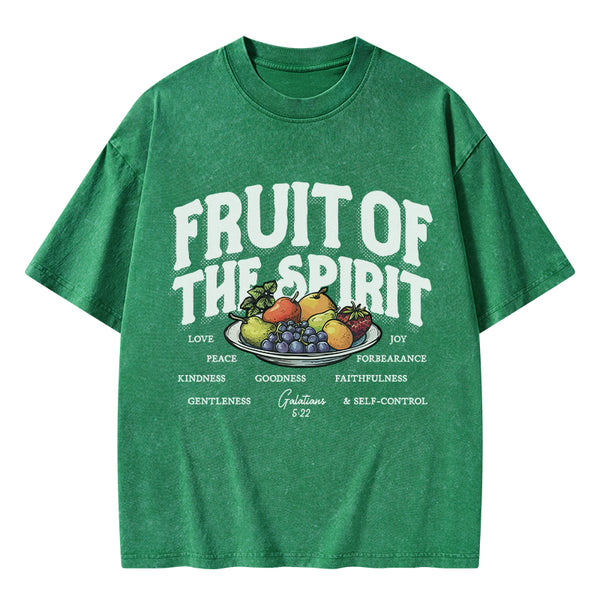 Fruit Of The Spirit Christian Washed T-Shirt