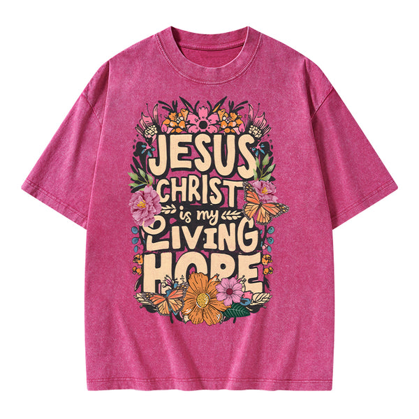 Living Hope Christian Washed T-Shirt