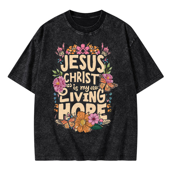 Living Hope Christian Washed T-Shirt